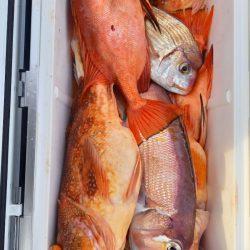 第二龍勢丸 釣果