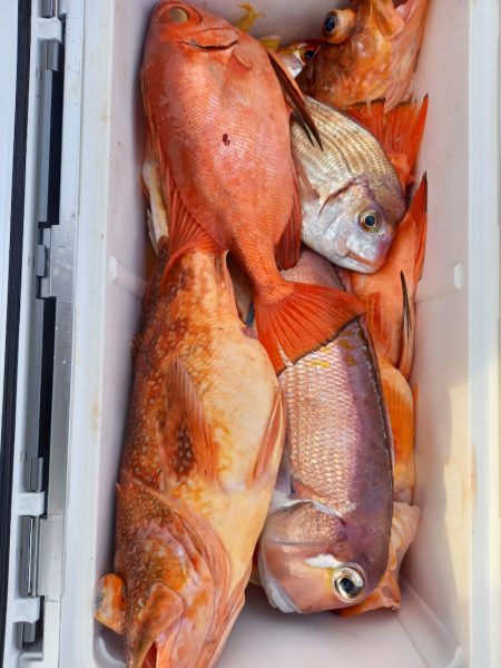 第二龍勢丸 釣果