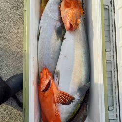 第二龍勢丸 釣果