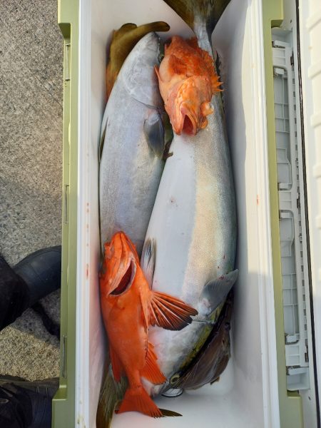 第二龍勢丸 釣果