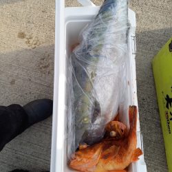 第二龍勢丸 釣果