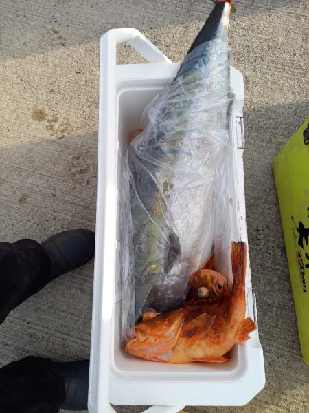 第二龍勢丸 釣果