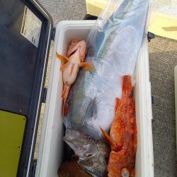 第二龍勢丸 釣果