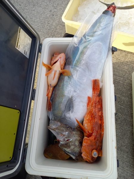 第二龍勢丸 釣果