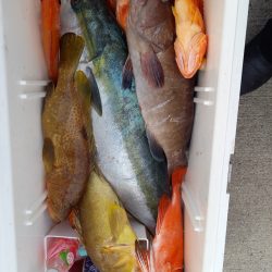 第二龍勢丸 釣果