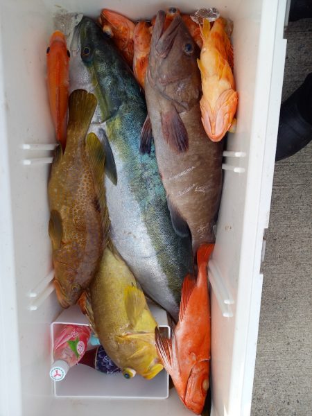 第二龍勢丸 釣果