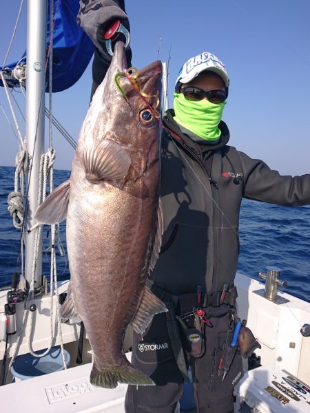 ARCADIAⅡ (アルカディアⅡ) 釣果