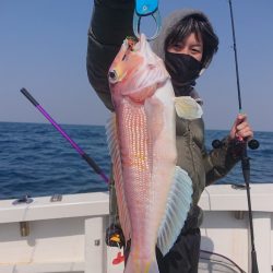 ARCADIAⅡ (アルカディアⅡ) 釣果