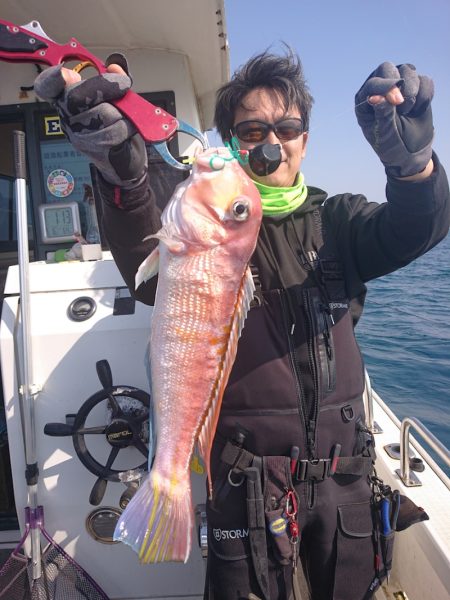 ARCADIAⅡ (アルカディアⅡ) 釣果