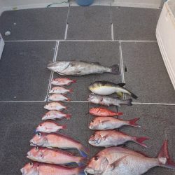 ARCADIAⅡ (アルカディアⅡ) 釣果