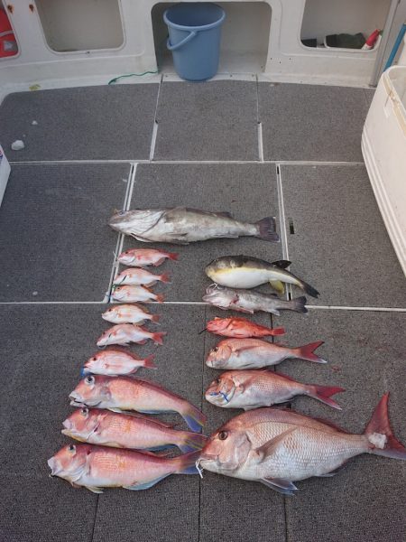 ARCADIAⅡ (アルカディアⅡ) 釣果