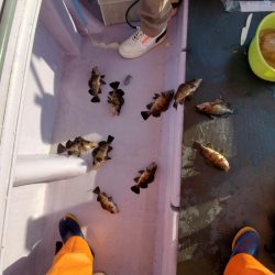 海龍丸（石川） 釣果