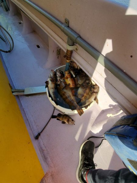 海龍丸（石川） 釣果