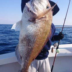 ARCADIAⅡ （アルカディアⅡ） 釣果