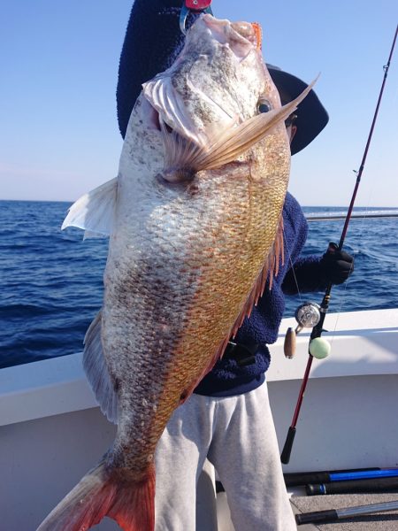 ARCADIAⅡ （アルカディアⅡ） 釣果…