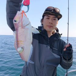 ARCADIAⅡ (アルカディアⅡ) 釣果