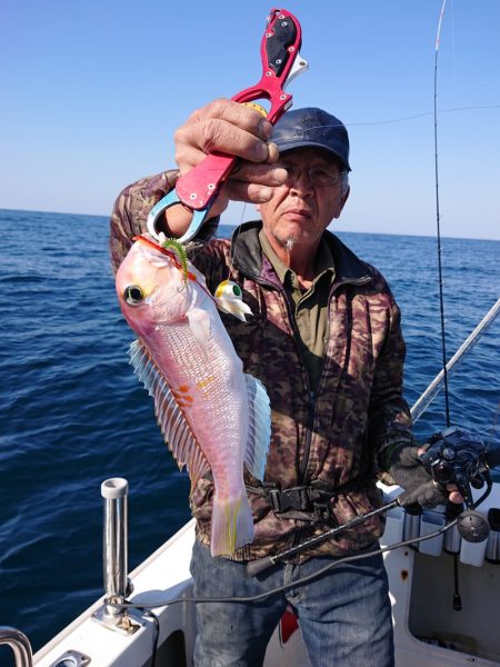 ARCADIAⅡ (アルカディアⅡ) 釣果