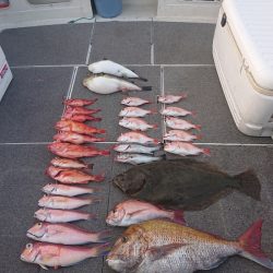 ARCADIAⅡ (アルカディアⅡ) 釣果