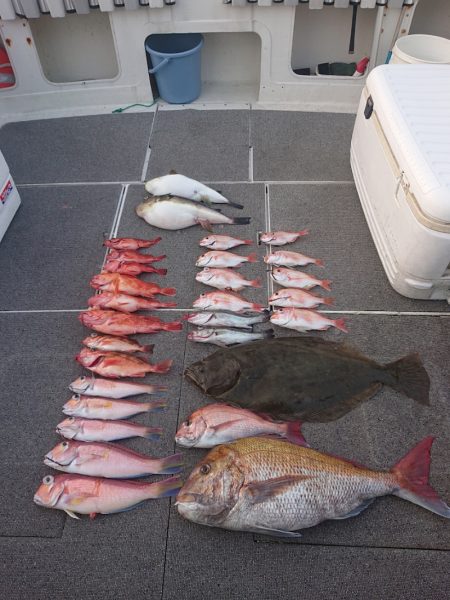 ARCADIAⅡ (アルカディアⅡ) 釣果