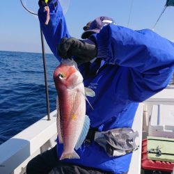 エンペラー 釣果