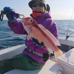 エンペラー 釣果