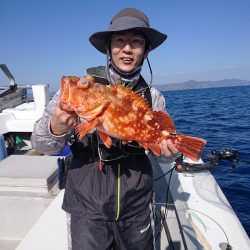 エンペラー 釣果