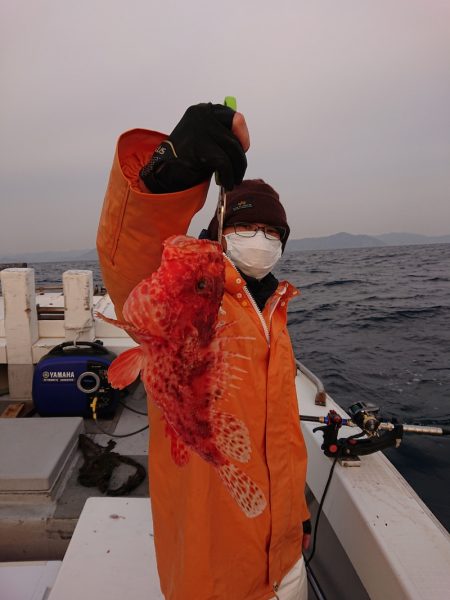 エンペラー 釣果