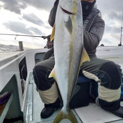 アマテラス 釣果