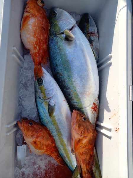 第二龍勢丸 釣果