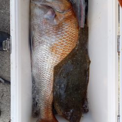 第二龍勢丸 釣果