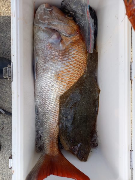 第二龍勢丸 釣果