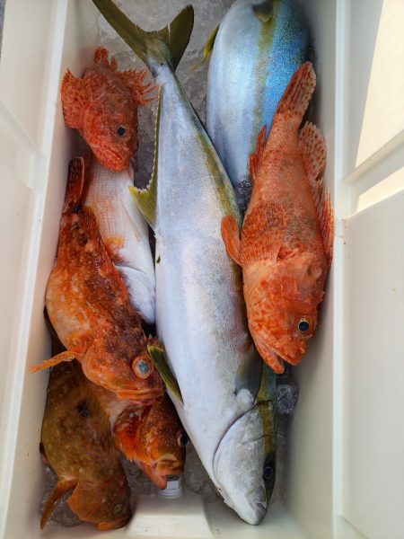 第二龍勢丸 釣果