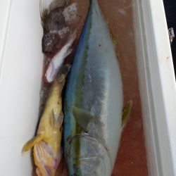 第二龍勢丸 釣果