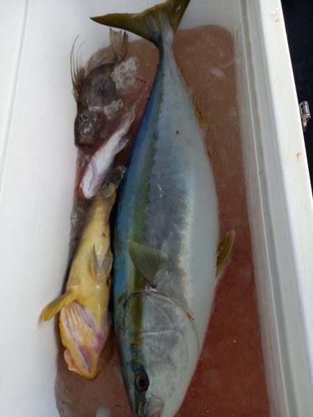 第二龍勢丸 釣果