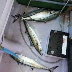 海龍丸（石川） 釣果