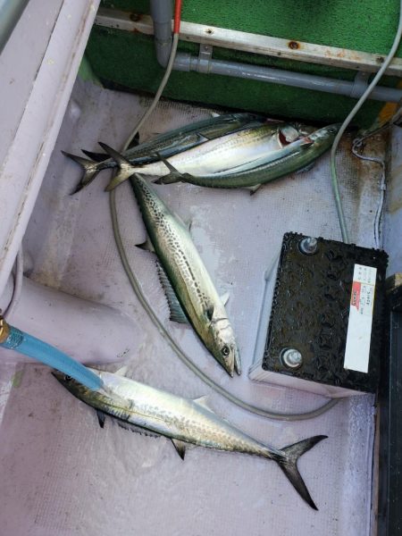 海龍丸（石川） 釣果