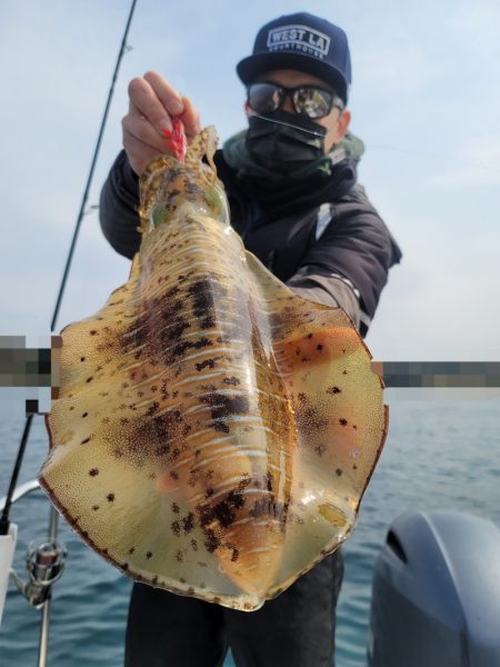 ソルトウォーターガイドフレンズ 釣果