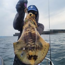 ソルトウォーターガイドフレンズ 釣果