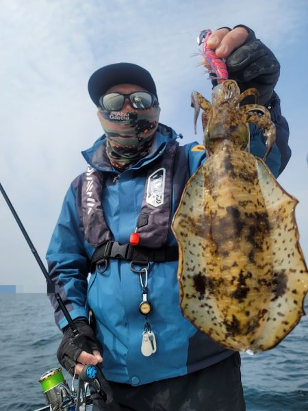 ソルトウォーターガイドフレンズ 釣果