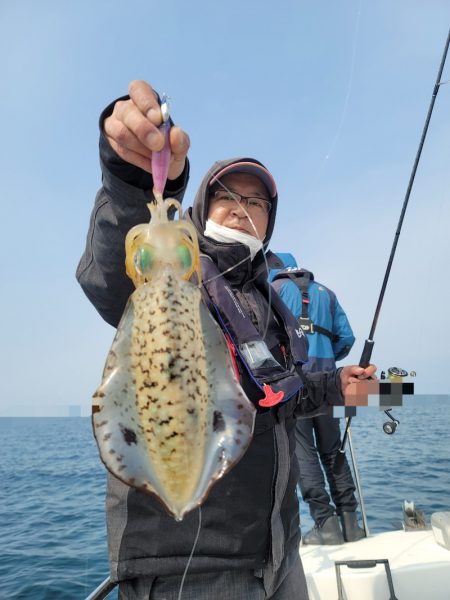 ソルトウォーターガイドフレンズ 釣果