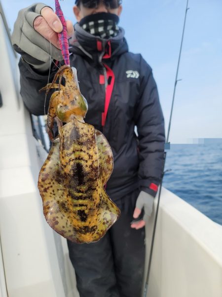 ソルトウォーターガイドフレンズ 釣果