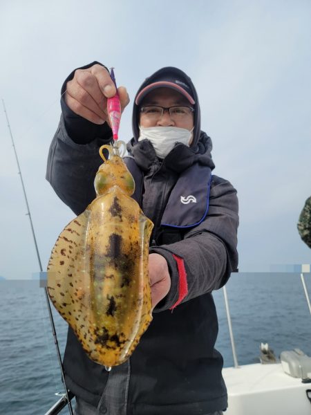 ソルトウォーターガイドフレンズ 釣果