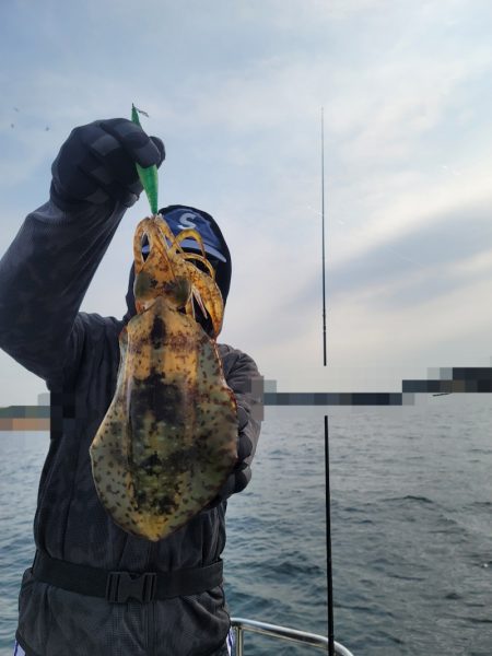 ソルトウォーターガイドフレンズ 釣果