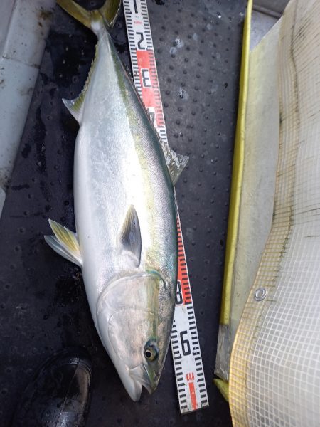 第二龍勢丸 釣果