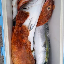 第二龍勢丸 釣果