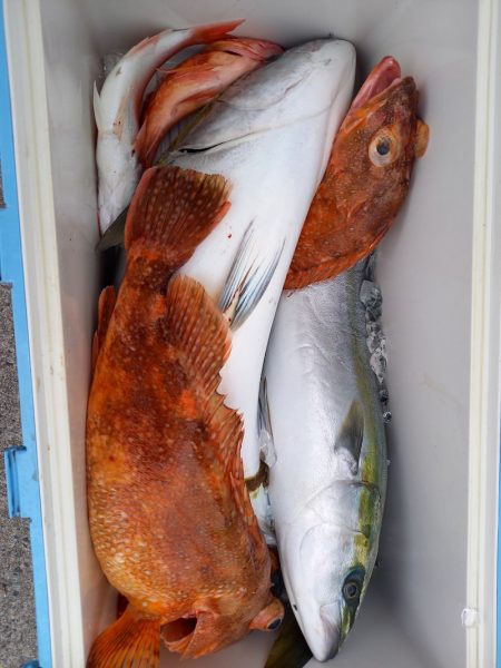 第二龍勢丸 釣果