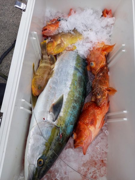 第二龍勢丸 釣果