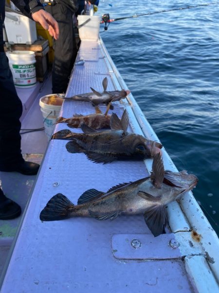 海龍丸（石川） 釣果