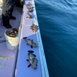 海龍丸（石川） 釣果