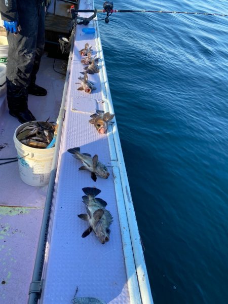 海龍丸（石川） 釣果